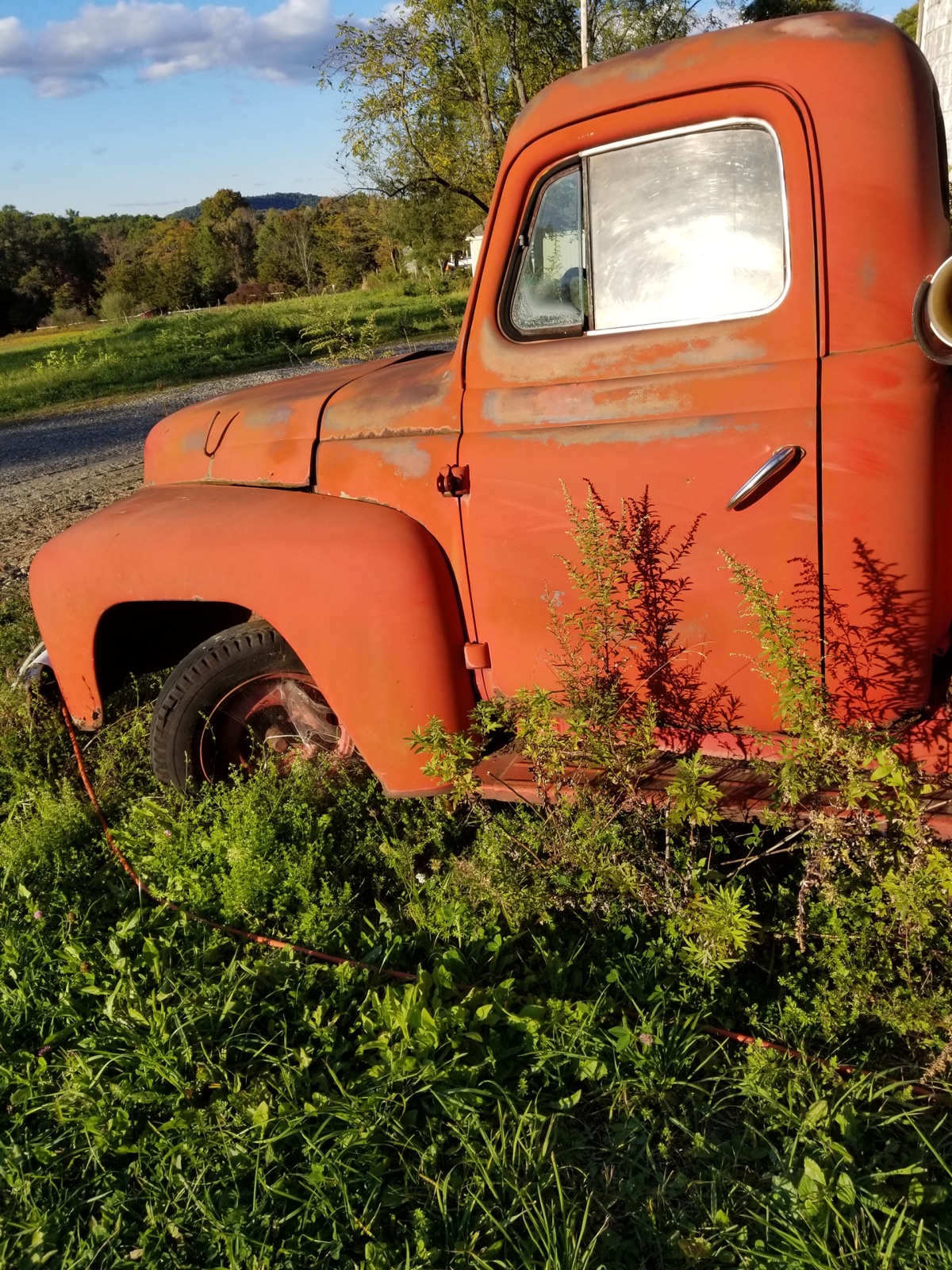 Old work truck in tall grass