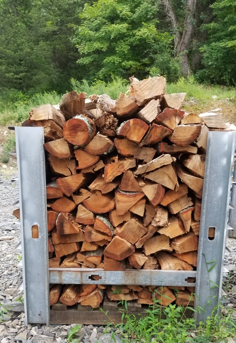 Lulu and Tacoma, the farm dogs