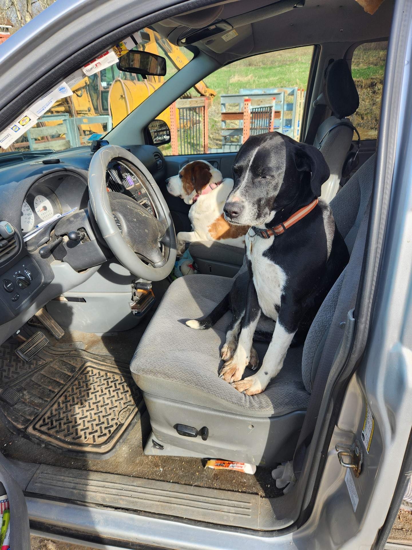 Hay bales in the field