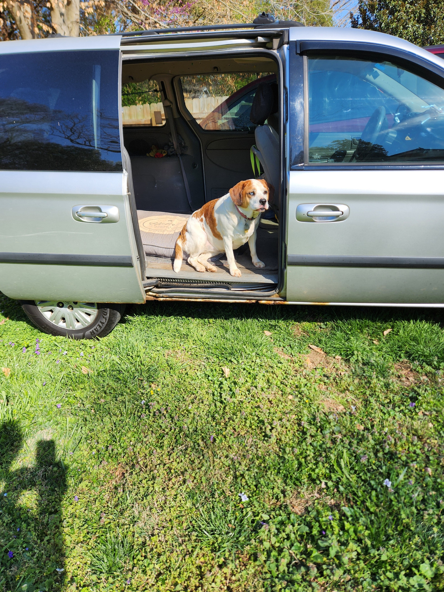 Farm grounds and woods