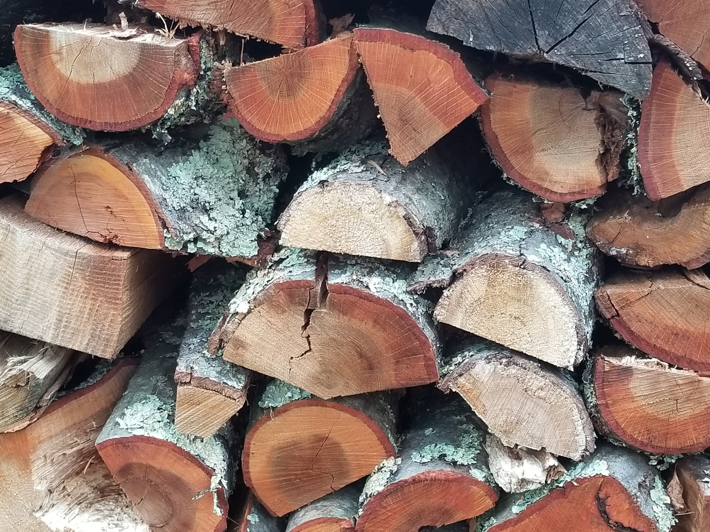 Stack of seasoned firewood rounds